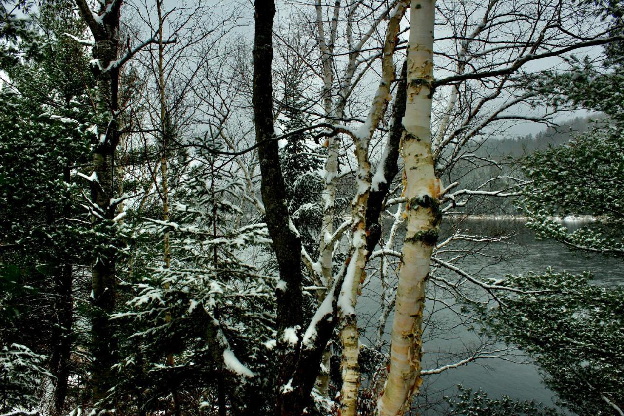 Chalet Au Bord Du St-Maurice La Tuque Exteriör bild