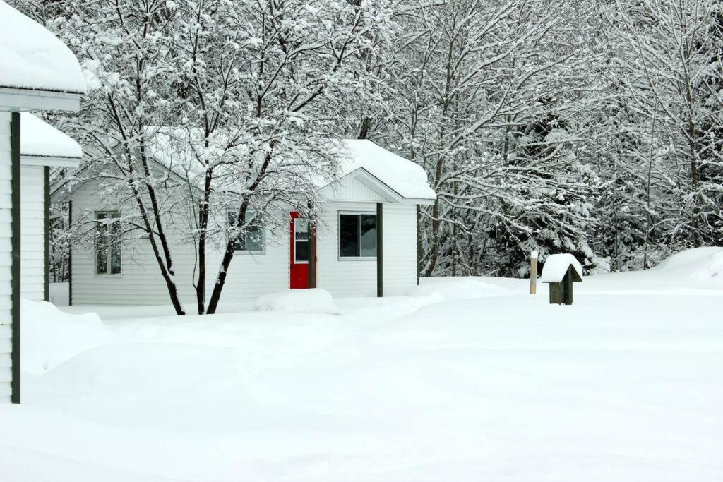 Chalet Au Bord Du St-Maurice La Tuque Exteriör bild
