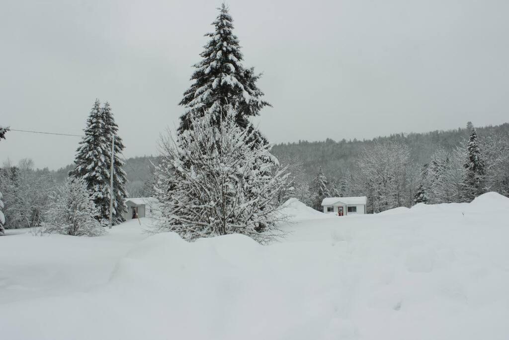 Chalet Au Bord Du St-Maurice La Tuque Exteriör bild